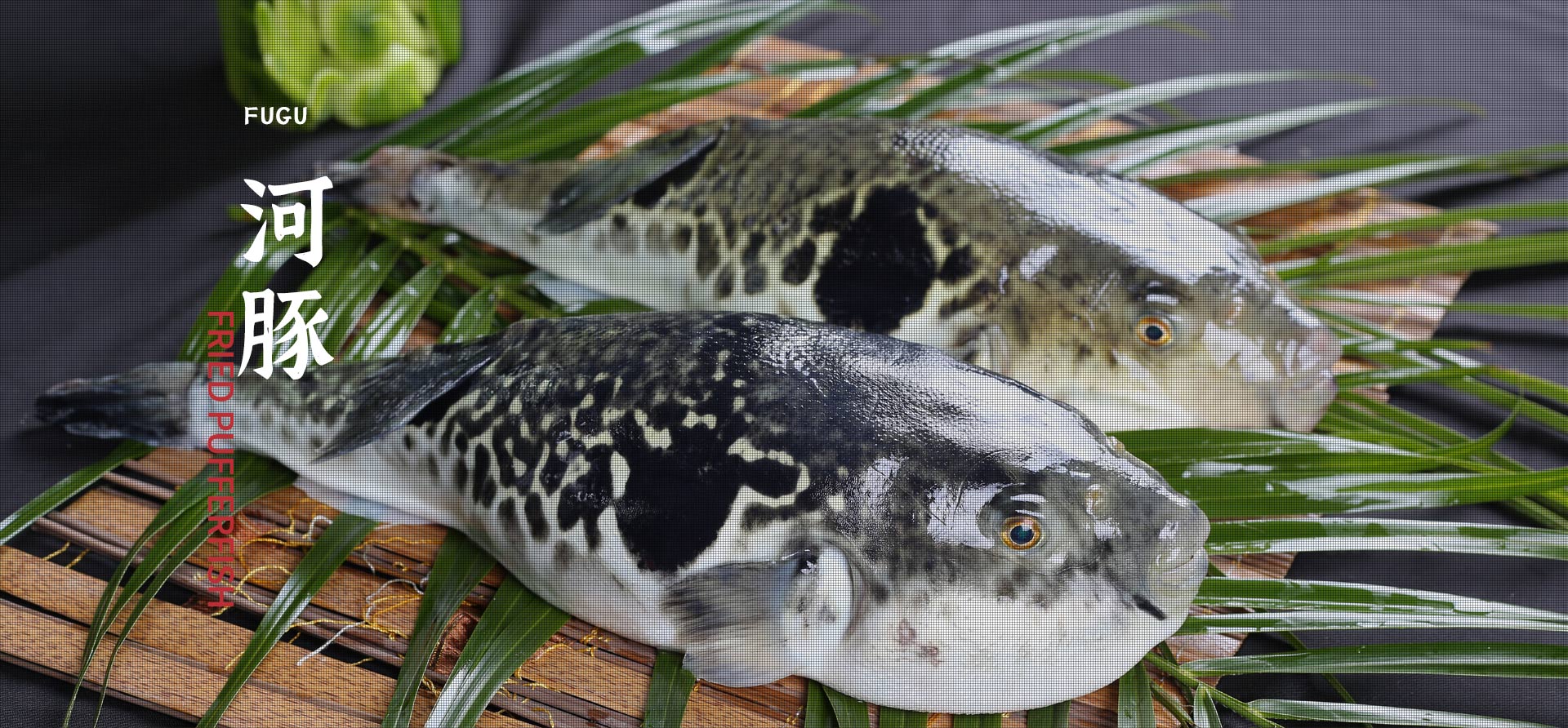 AG�ֻ��������(����)��ҳ���